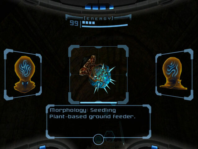 File:Seedling scan images dolphin hd.jpg
