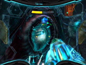 Leviathan Womb
