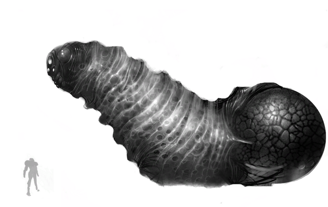 File:Amorbis concept2.png