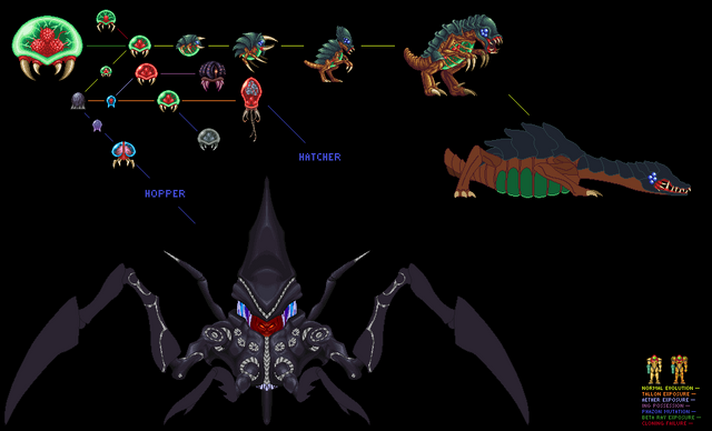 File:Metroid Evolution Chart.png