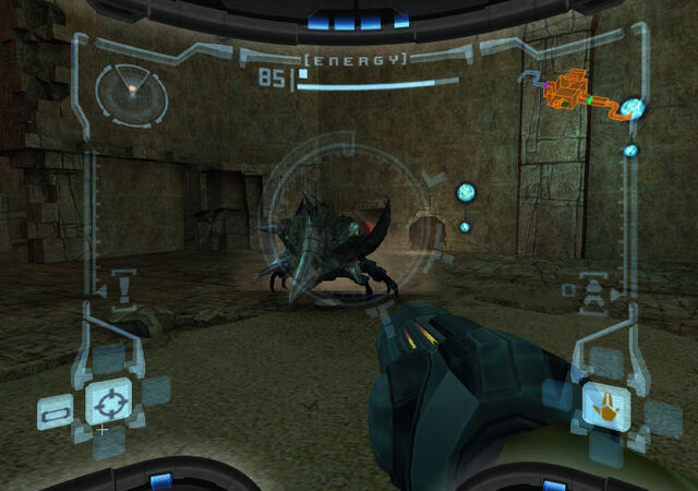 File:Plated Beetle battle.jpg