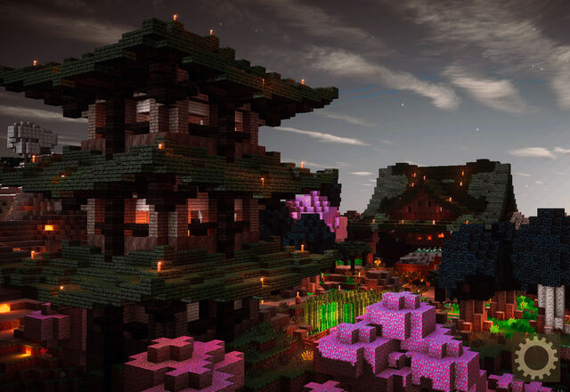 File:STucker's Dojo.jpg
