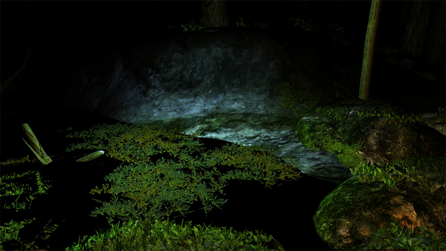 File:Bio-luminescent algae at night.png