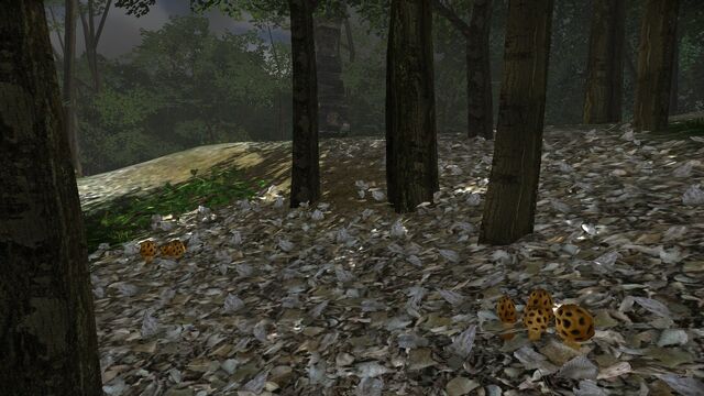 File:Sponge-like mushrooms near urn.jpg