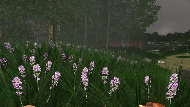 File:Outpost Draco Lab Prairie.jpg