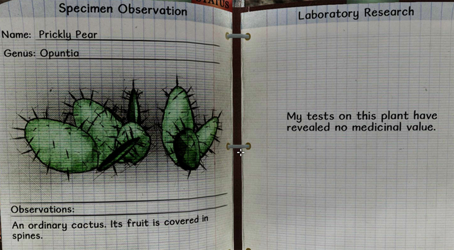 File:Prickly pear notes.png