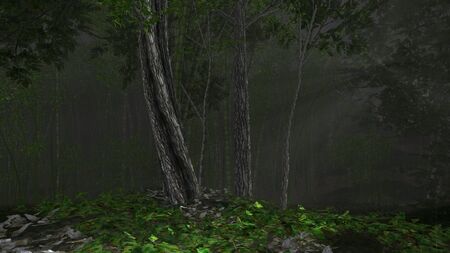 Bamboo forest