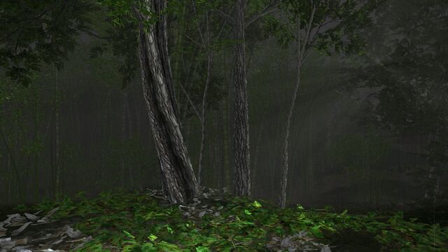 File:Bamboo forest.jpg