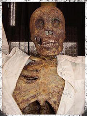 Harrybo's Granddad