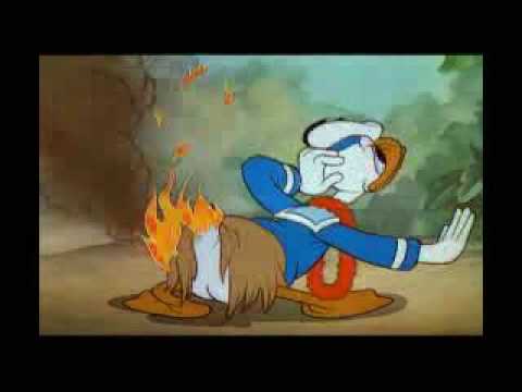 Αρχείο:Donald HAWAI.jpg