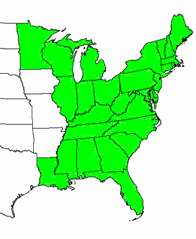 File:Blank-map-of-the-united-states.png
