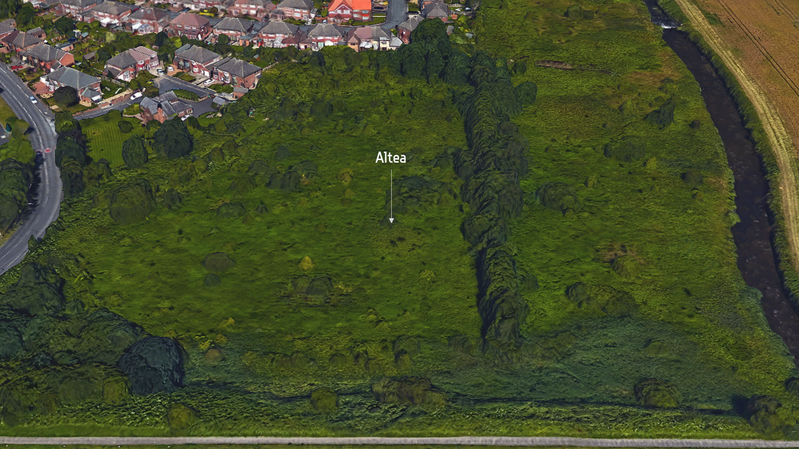 Altea Map