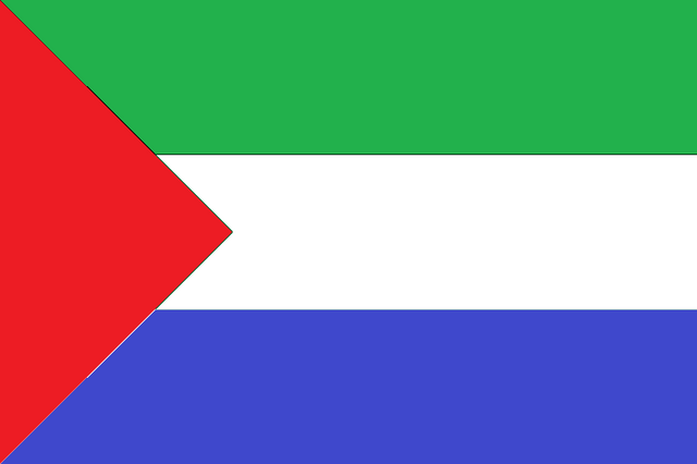 File:Flag Of The Viadalvian Republic.png