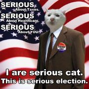 Lolcat-serious-election