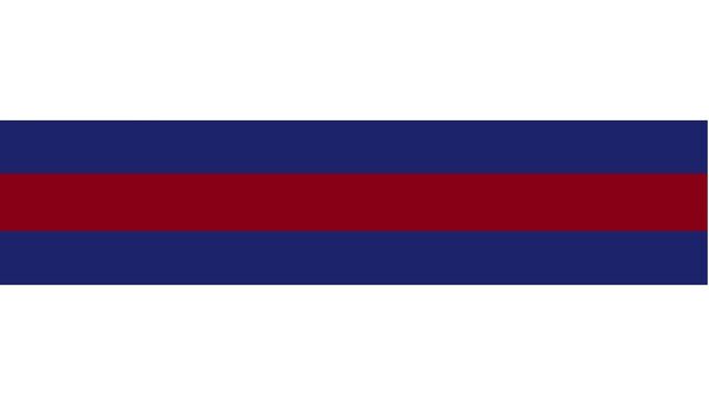 File:Proposed flag.jpg