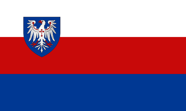 File:Sqflag1.png