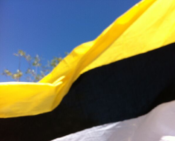 File:Sierran Flag Waving.jpg