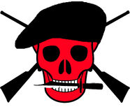 Blackberetsquadlogo