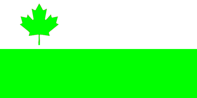 File:Dvorflag.png
