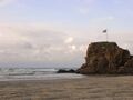 Thumbnail for version as of 21:54, June 16, 2012