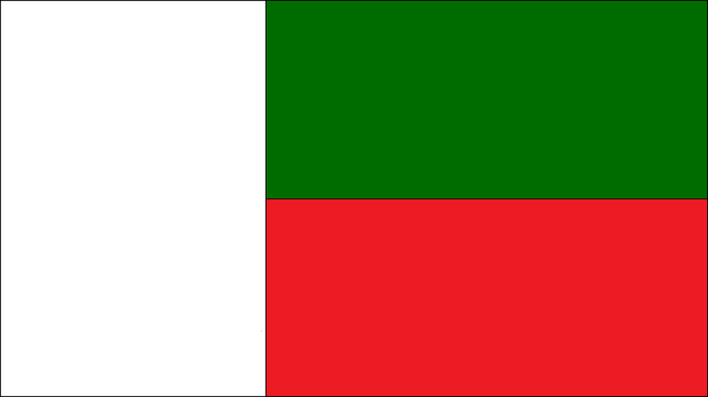 File:Salanian Flag (Republic).png