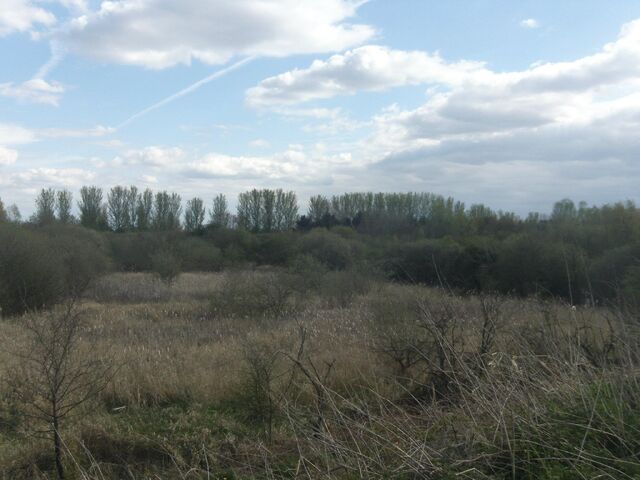 File:477351 2935939242832 813652360 o.jpg