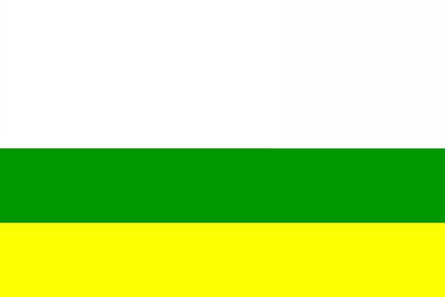 File:NFORFlag-Civil.png