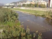 Río Besòs