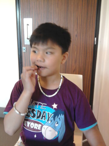 File:Photo0224.jpg