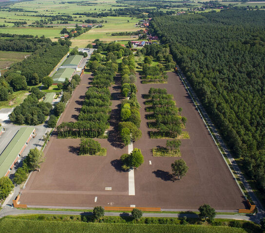 File:Wes-gedenkstaette-esterwegen-14-schraegluftbild-foto-stefan-schoening project images wide.jpg