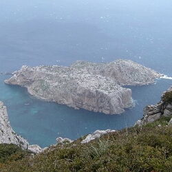Perejil