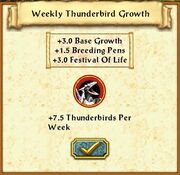 Festival power