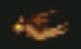 Chauve-souris