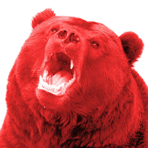 File:Redbear.jpg