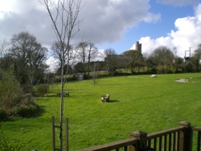 CW Millennium Green