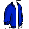 Blue Sport Jacket