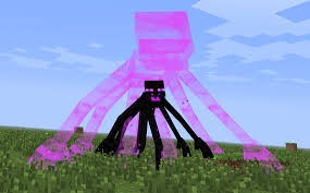 File:Enderpoo.jpg