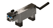 Grey cat minecraft