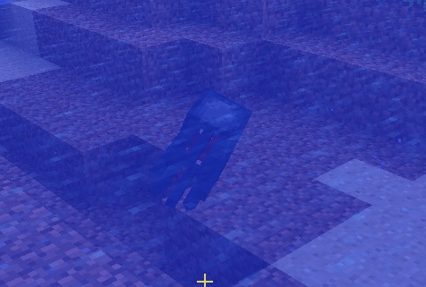 File:Squidinwater.jpg