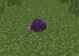 File:Endermite looked nearly.jpg