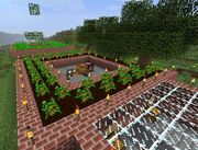 Illus forestry 2.