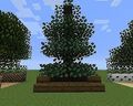 Thumbnail for version as of 02:13, August 23, 2012