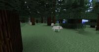 Minecraftwolvesinforest.jpg