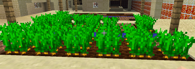 File:Carrots Growing.png