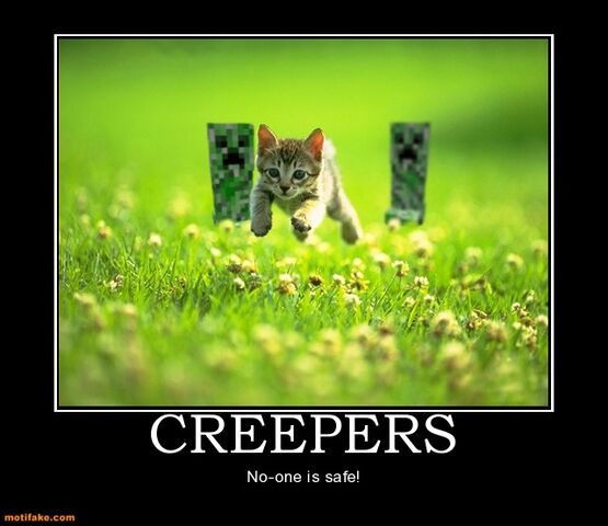 File:Creepers-chasing-cats-1296392280.jpg