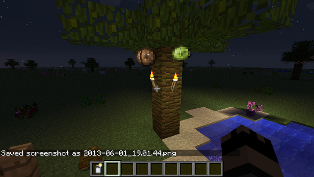 File:2013-06-01 19.01.50.png