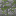 File:Cracked MossyHD.png