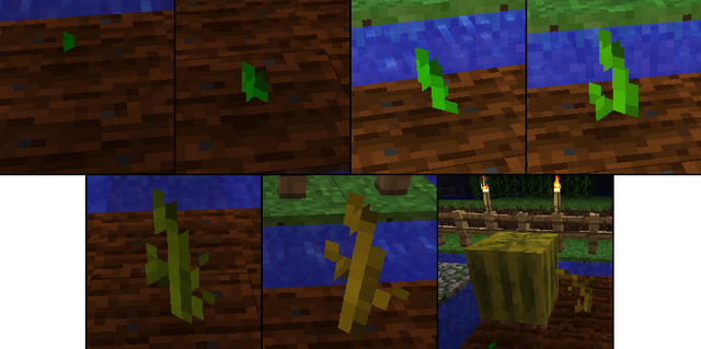Tiedosto:Melonin kasvu.png