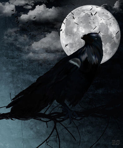 File:Raven-renata-s.jpg