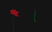 P-P